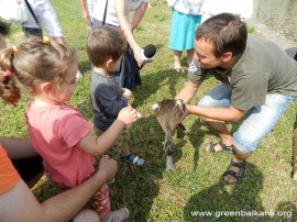 Стара Загора: В езерото Загорка вече плуват зелени патета