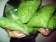 Някой заряза 6 кг марихуана на пътя