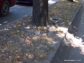 Несъобразена скорост доведе до удар в крайпътно дърво