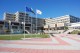 Ветеринарно-медицинската професия се унищожава