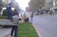 Продължава есенната кампания по озеленяване