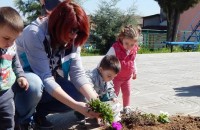 Пролетни цветя разцъфтяха в центъра на Малка Верея