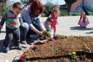 Пролетни цветя разцъфтяха в центъра на Малка Верея
