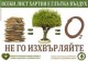 Близо 2 тона хартия предадена за рециклиране от НАП