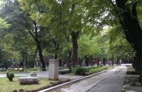 Нови велоалеи под липите до 5 октомври