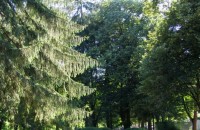 Днес празник на Старозагорските минерални бани