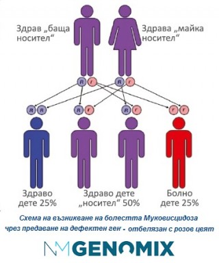 Правят безплатни кръвни изследвания за Муковисцидоза в Стара Загора