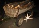 Арестуваха двама мъже с каруци с незаконни дърва