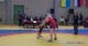 Четири медала за борците на Берое