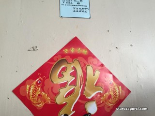 Стара Загора: Учениците от СОУ “Максим Горки“ посрещнаха тържествено китайската Нова година