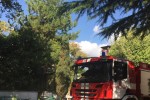 Наградиха старозагорски пожарникари за дейността им през годината