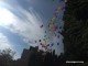 1500 гълъба полетяха над Стара Загора за празника на града