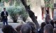 Живко Тодоров: Всичко, което правихме за Стара Загора през   изминалите четири години може да се види