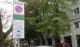 Безплатна “Зелена зона“ за Коледа и Нова година в Стара Загора