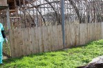 България има вече трети брадат лешояд и той отново живее в Стара Загора