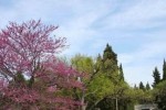 Предстоящи събития в Стара Загора на 24 март, неделя