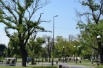 Изграждат фитнес зона в парк „Артилерийски