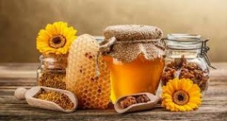 Дискутират бъдещето на пчелните продукти  в Стара Загора