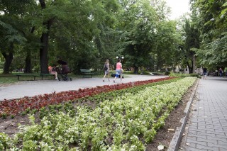 50 хиляди нови цветя ще красят Стара Загора