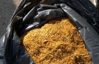 Задържаха двама старозагорци, превозващи 114 килограма тютюн без бандерол