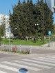 Доброволци се включиха в дейностите по косене в старозагорския парк „Артилерийски“