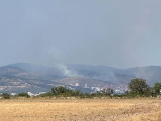 Пожар гори в гората на квартал “Лозенец“
