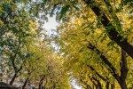 Предстоящи събития в Стара Загора на 31 октомври, събота
