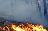Продължава борбата с пожарите