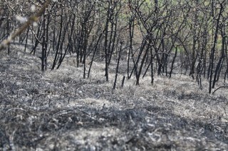 Стара Загора: Снощният пожар най-вероятно е причинен от човешка ръка