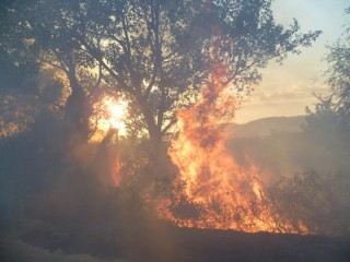 Какво да правим в случай на горски пожар
