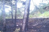 Пожар лумна до стадион “Берое“
