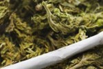 Закопчаха непълнолетни с марихуана