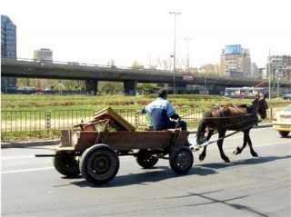 Опит за кражба с каруца