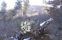 Спипаха каруци с незаконни дърва