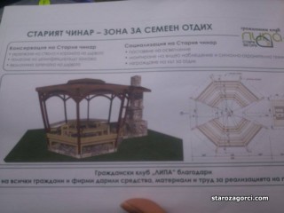 Стара Загора: Укрепиха и консервираха Стария чинар