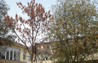 168 свободни места за малчуганите в две детски градини