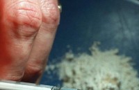 Двама старозагорци осъмнаха зад решетките за притежание на наркотици