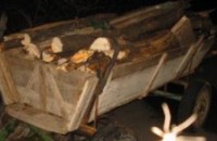 Арестуваха двама мъже с каруци с незаконни дърва