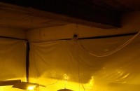При спецакция задържаха 4-ма със 143 саксии канабис