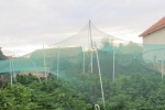 Откриха двор на старозагорец засят с канабис 