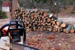 Задържаха за 24 часа двама мъже за кражба на дърва 