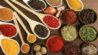 Утре Стара Загора посреща вкусовете на света