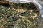 Откриха марихуана в старозагорско село