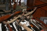 При спецакция намериха незаконно оръжие и защитен вид костенурка в дома на 76-годишен мъж