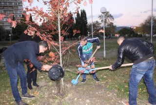 МГЕРБ с тридневна кампания за залесяване в Стара Загора