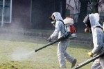 Есенната обработка против кърлежи в Стара Загора започва на 8  септември