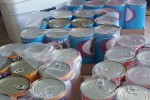Кампания в помощ на бездомните животни „Дай малко, дари чудо!“ в Стара Загора