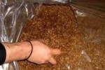 Намериха 220кг. тютюн в дома на старозагорец