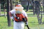 Третират тревните площи в Мъглиж