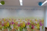 С красиви и образоващи фототапети грейна старозагорско училище